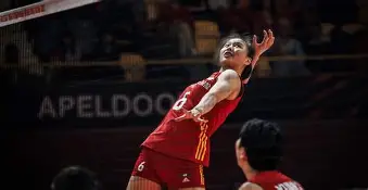 AG旗舰厅-斯图加特遗憾出局中国女排怒砍35分，斯图加特清晨扳平良机都惊呆了的简单介绍